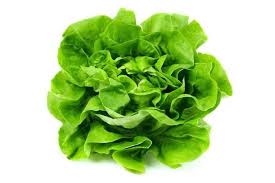 Alface lisa  unidade