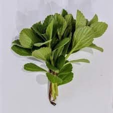 Boldo do chile  molho