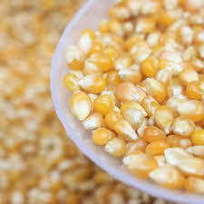 Milho de pipoca 500g