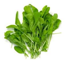 Rúcula  molho