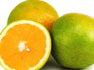 Laranja Bahia - meio kg