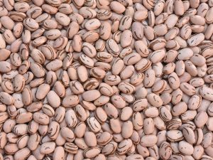 Feijão Carioquinha - meio kg